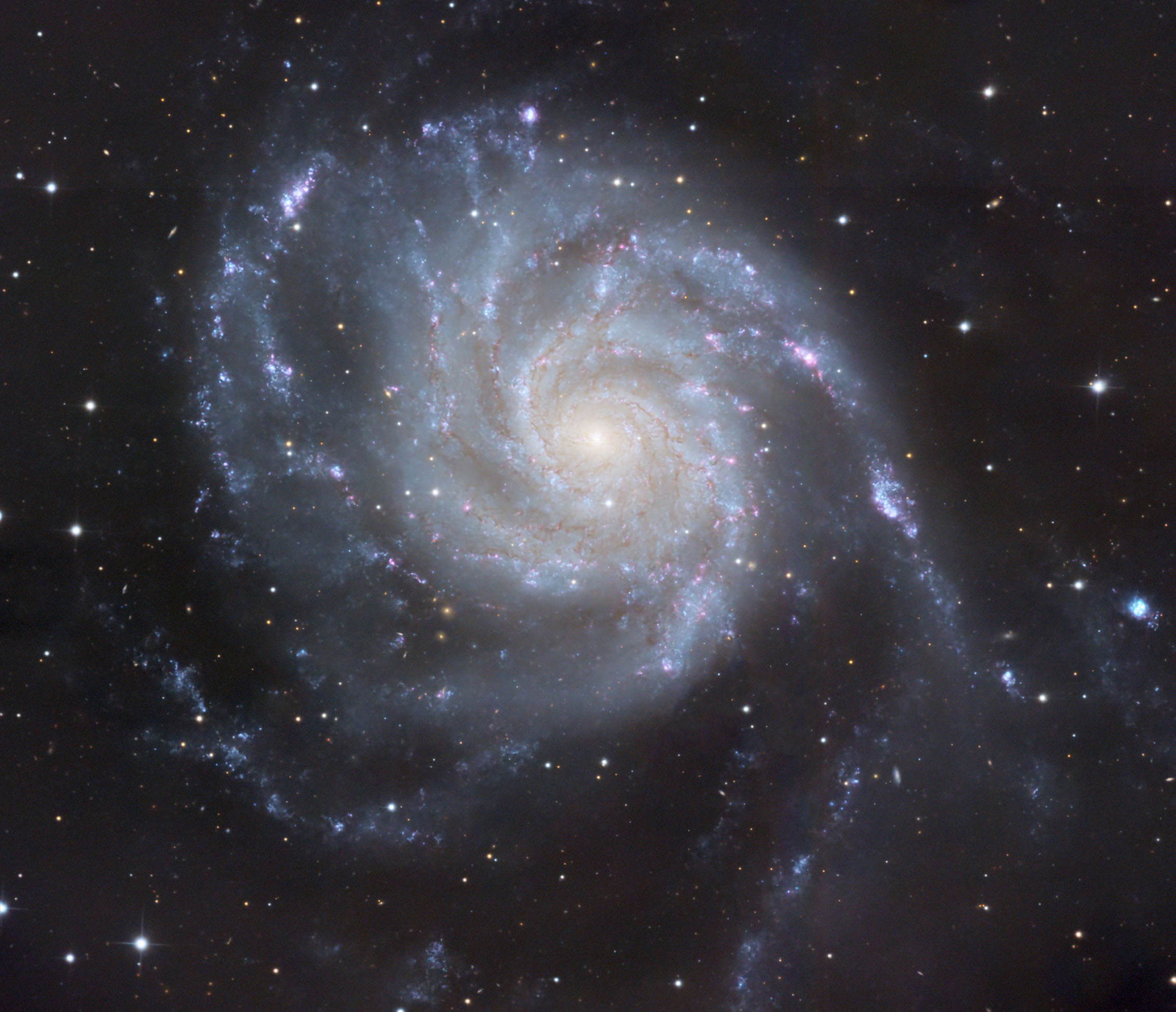 Galaxie M 101